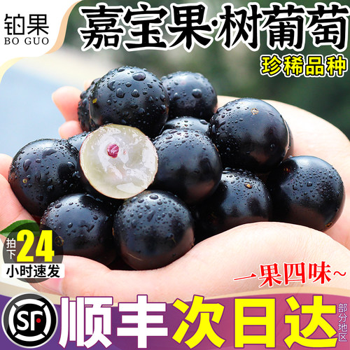 顺丰次日达丨3斤树葡萄一果四味