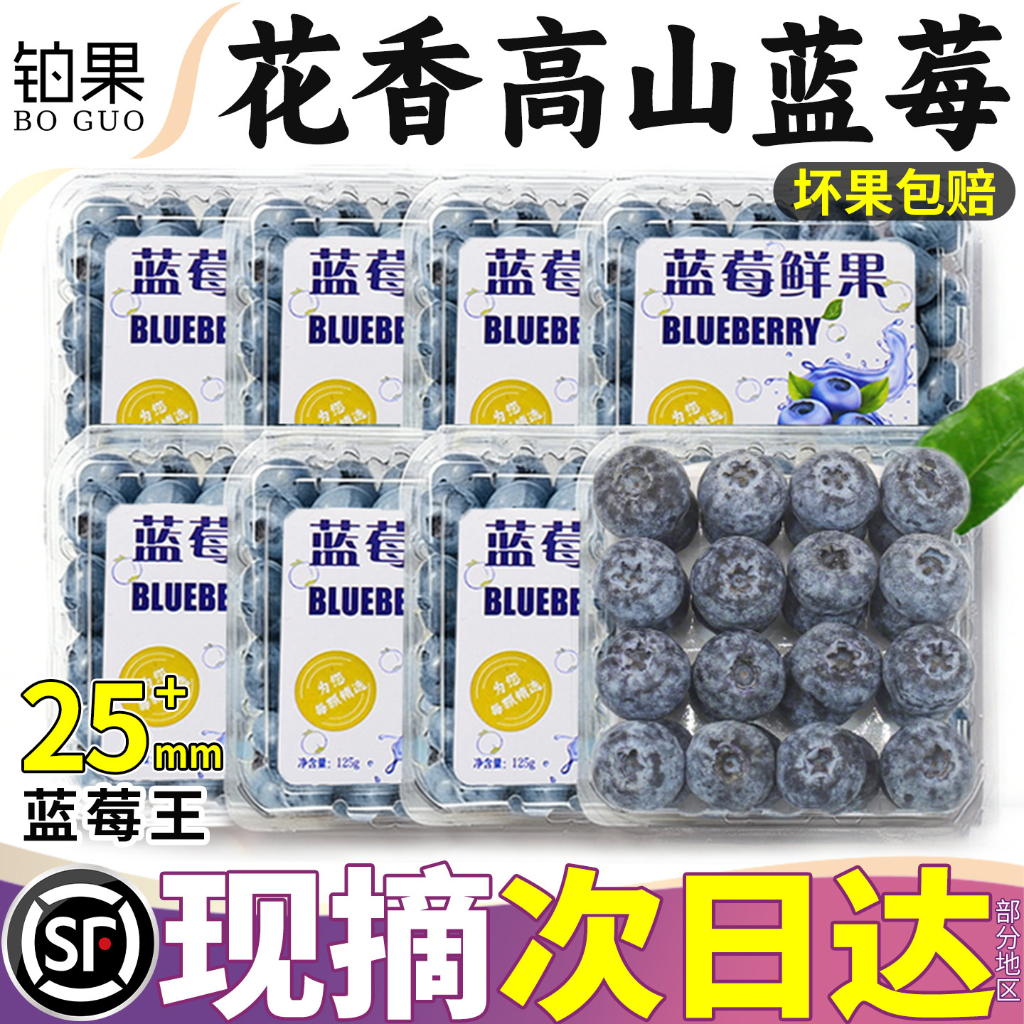 顺丰礼盒山东花香蓝莓新鲜水果高山一颗鲜莓果当季特大整箱包邮甜