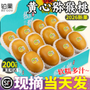 整箱 奇异果20粒金果当季 包邮 顺丰礼盒四川蒲江黄心猕猴桃新鲜