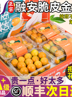 顺丰礼盒 5斤融安脆蜜金桔正宗官方旗舰店新鲜水果橘子柑整箱包邮