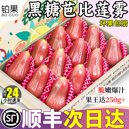 顺丰次日达丨特大果黑糖芭比莲雾