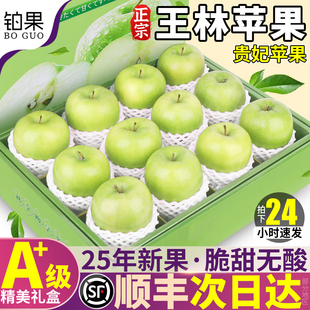 顺丰9枚礼盒 正宗王林苹果新鲜水果青苹果平果贵妇明月整箱包邮甜