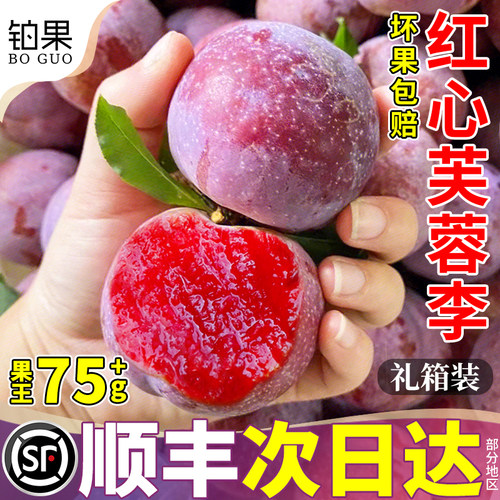 只发特大果！树上熟红心芙蓉李