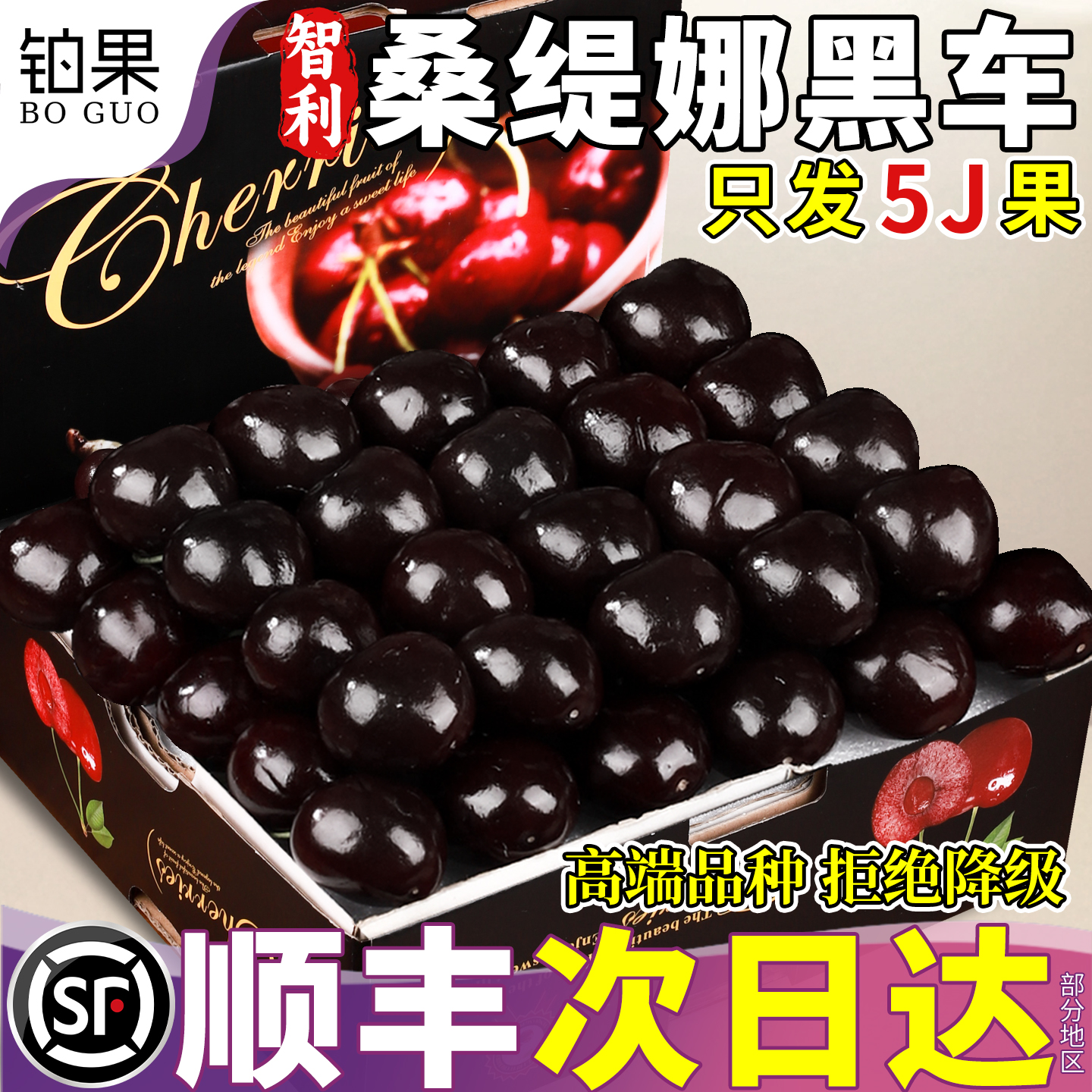 顺丰次日达丨智利进口桑提娜黑车