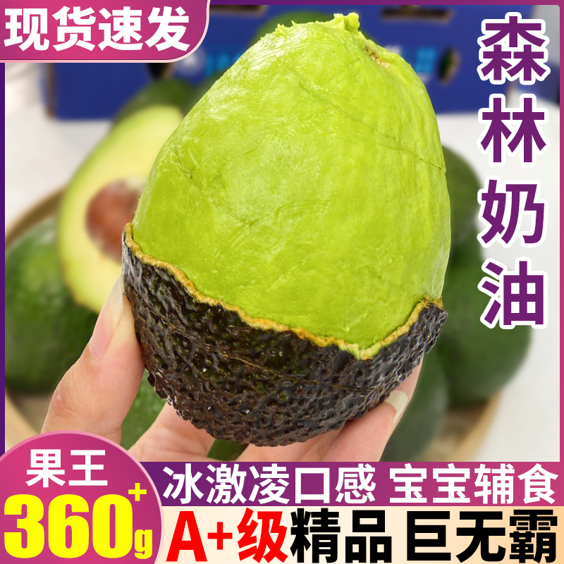 精品巨无霸15个装牛油果新鲜水果当季进口整箱包邮鳄梨云南大果10