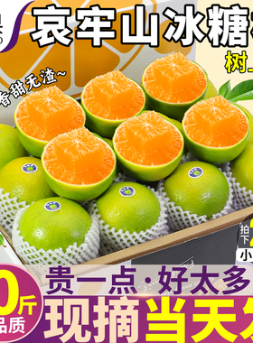 礼盒装20斤正宗云南冰糖橙新鲜橙子水果当季哀牢山手剥整箱包邮大