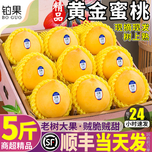 顺丰次日达丨正宗黄金蜜桃树上熟