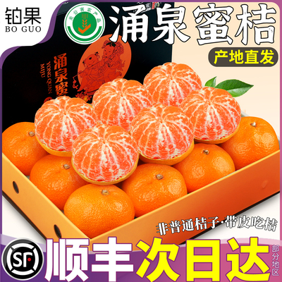 顺丰次日达丨10斤涌泉蜜桔礼盒装