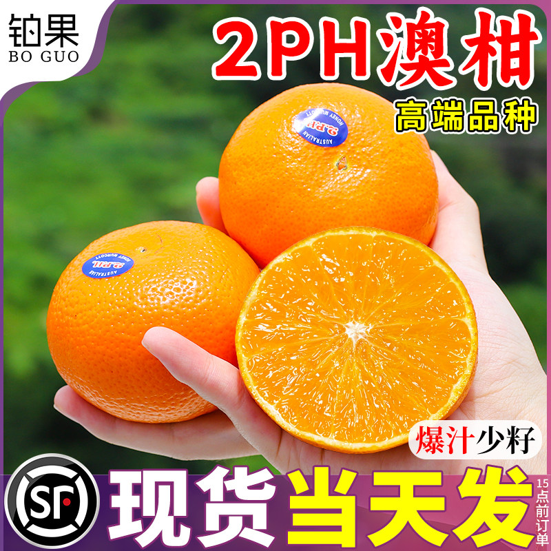 桔中爱马仕|2ph澳柑|礼盒装