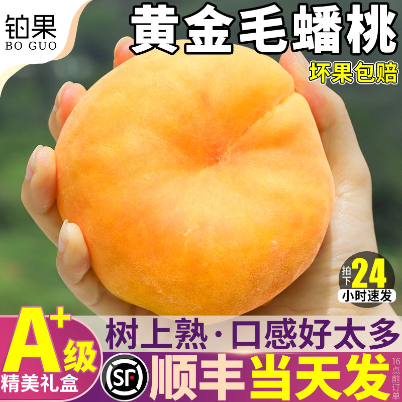 顺丰礼盒 5斤蒙阴黄金毛蟠桃当季时令水果桃子新鲜整箱水蜜桃特产