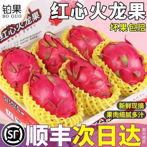 顺丰红心火龙果金都一号单果500g