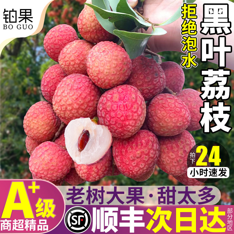 顺丰礼盒10斤老树黑叶荔枝新鲜现摘现发2026水果白糖当季整箱包邮