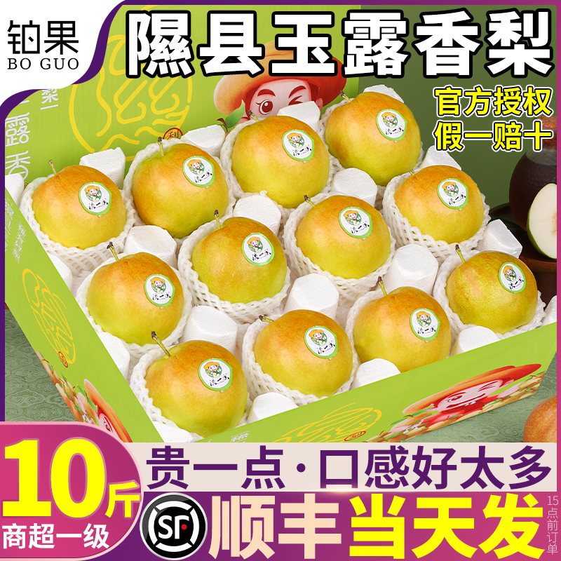 顺丰次日达丨10斤装正宗玉露香梨
