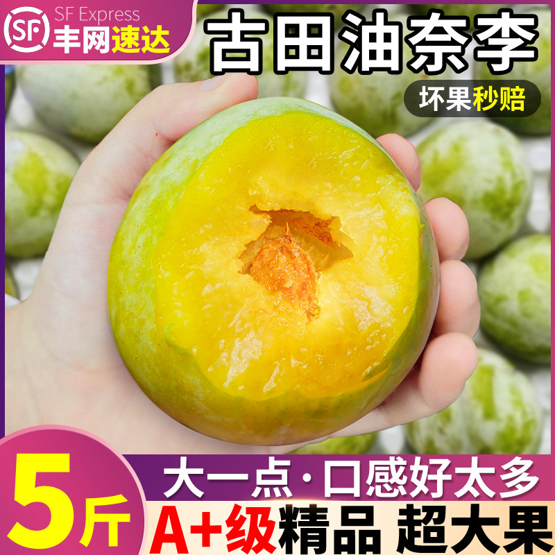 顺丰礼盒丨正宗古田油奈精品果装