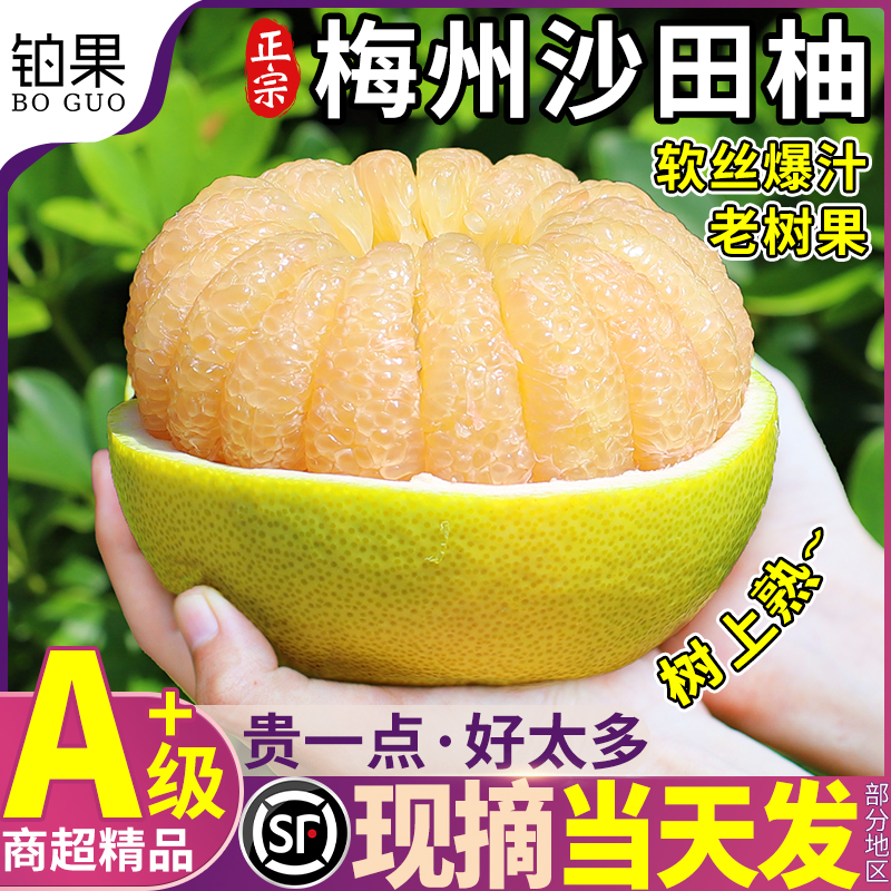 现摘当天发|不甜包赔|正宗沙田柚