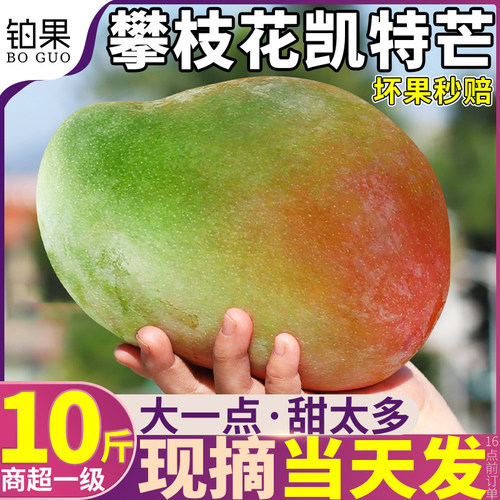 10斤攀枝花凯特芒新鲜水果现摘现发当季青皮芒大澳芒果甜整箱包邮