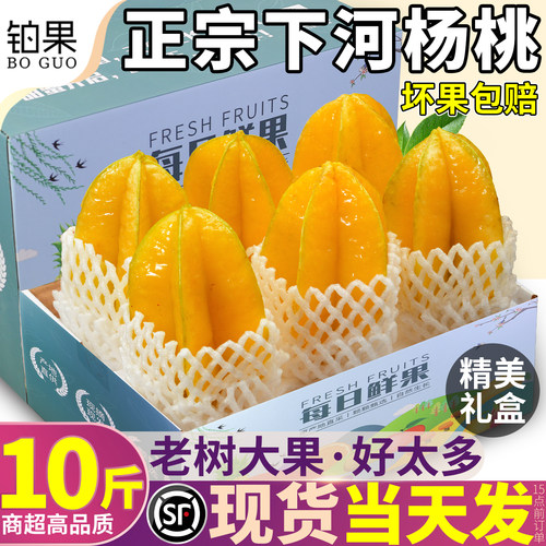 顺丰次日达树上熟下河甜杨桃10斤