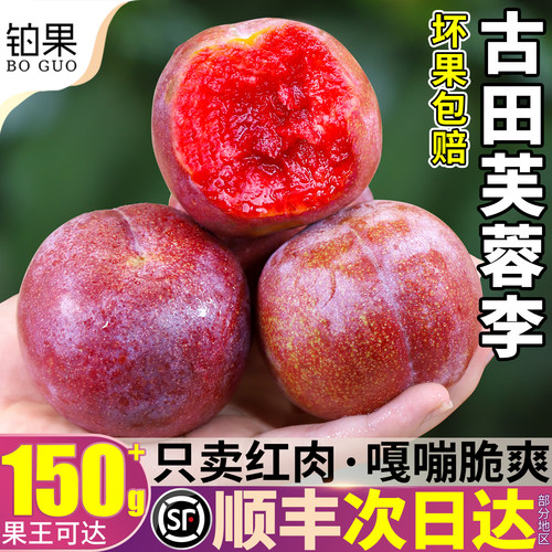 顺丰次日达丨古田红心芙蓉李