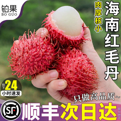 顺丰次日达丨清甜多汁丨红毛丹