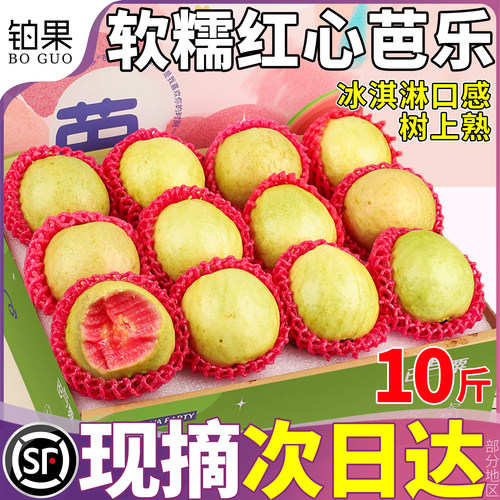 顺丰次日达丨树上熟丨坏果包赔