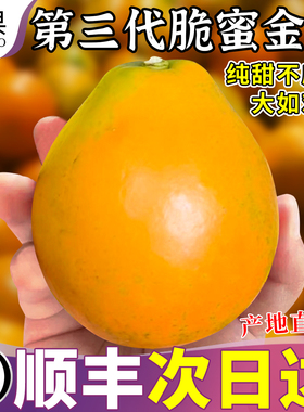 顺丰礼盒 5斤正宗脆蜜金柑新鲜水果桔子当季时令金橘鲜果整箱包邮