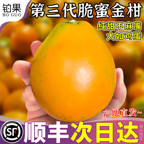顺丰次日达丨脆蜜金柑5斤礼盒