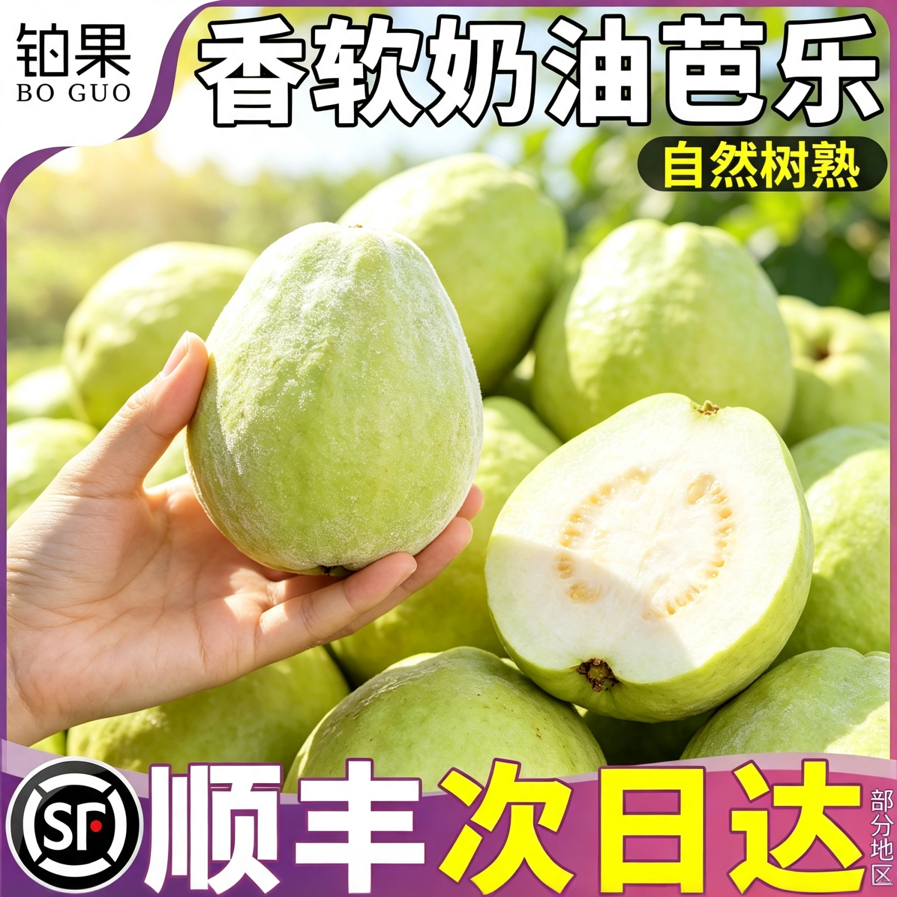 顺丰礼盒可选丨脆爽清香奶白芭乐