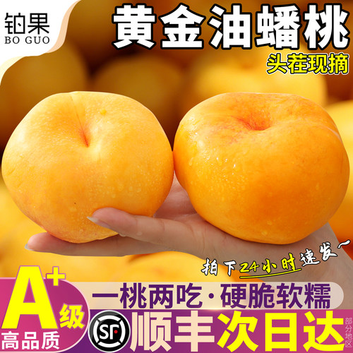 顺丰次日达丨黄金油蟠桃5斤礼盒