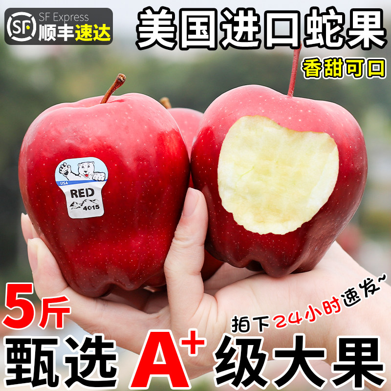 顺丰礼盒美国进口蛇果苹果新鲜水果粉糯甜当季平果12枚花整箱包邮,水产肉类/新鲜蔬果/熟食,苹果,淘宝优惠券,粉丝福利购,淘宝优惠卷
