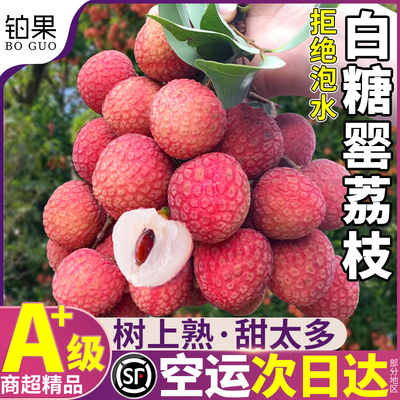 顺丰空运|精品白糖罂荔枝礼盒