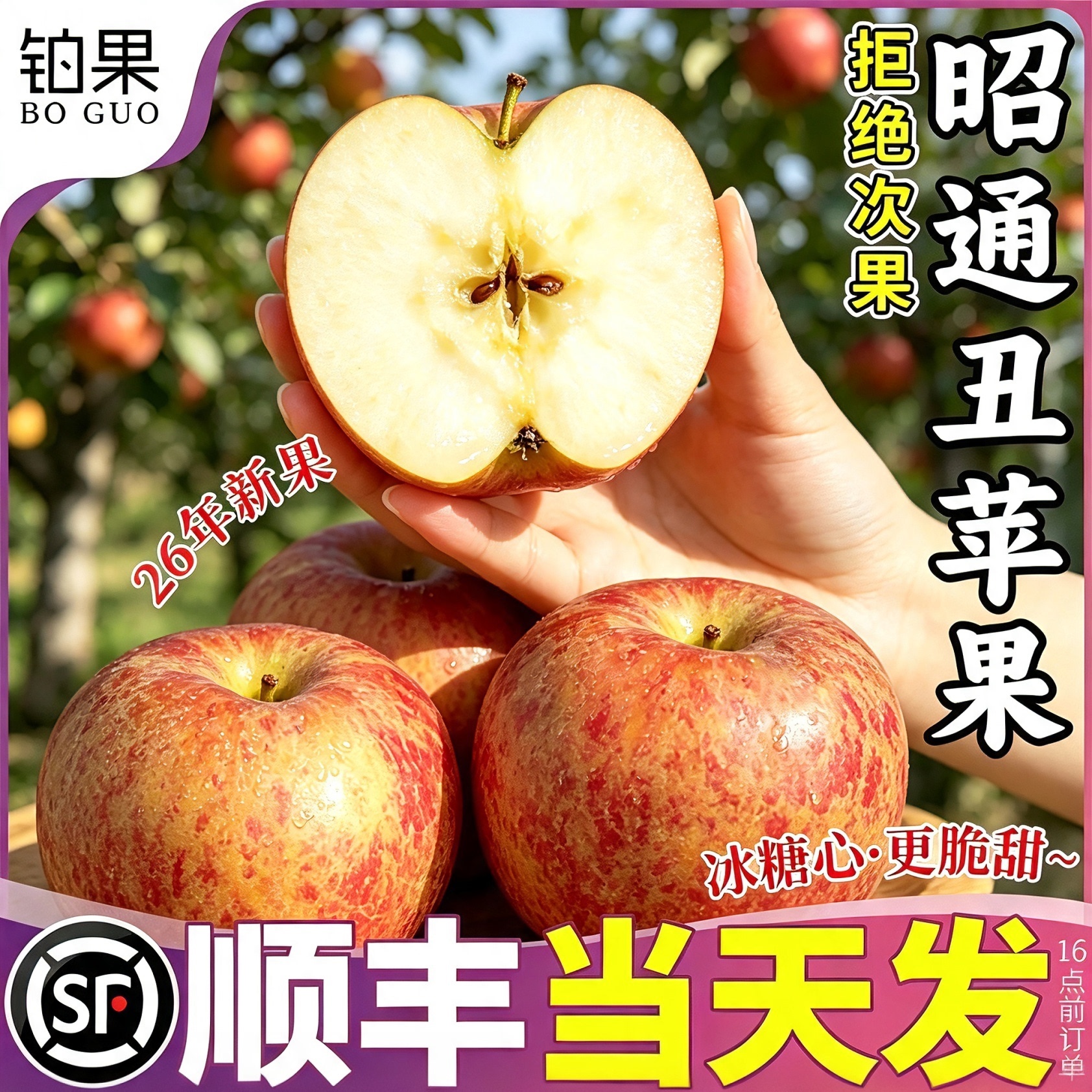 现摘当天发|产地授权|2026新果