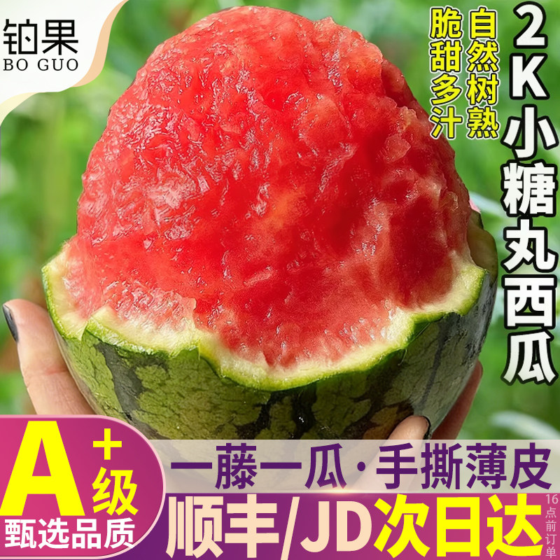 顺丰山东小糖丸西瓜2k新鲜水果当季冰淇淋麒麟整箱包邮礼盒旗舰店