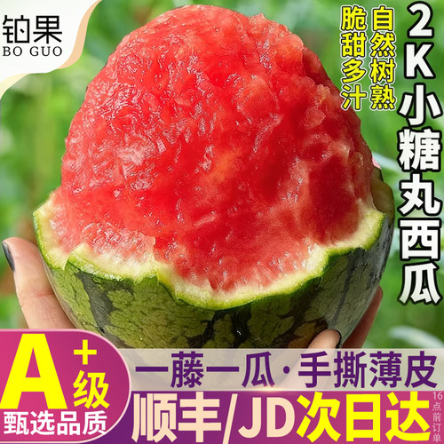 顺丰次日达丨山东2k糖丸西瓜超甜