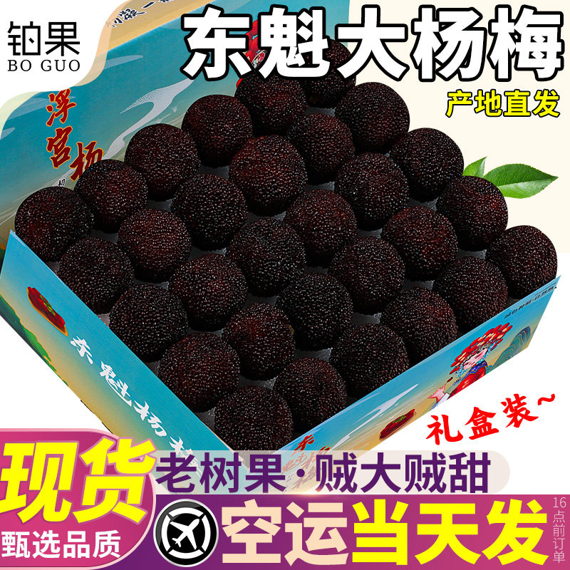 顺丰空运漳州东魁大杨梅鲜果新鲜现摘现发当季90颗粒装整箱包邮甜