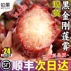 顺丰礼盒 5斤海南黑金刚莲雾新鲜水果莲雾果一级整箱雾莲果包邮连