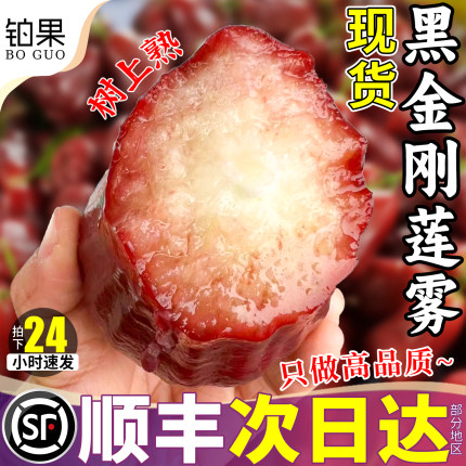 顺丰礼盒 5斤海南黑金刚莲雾新鲜水果莲雾果一级整箱雾莲果包邮连