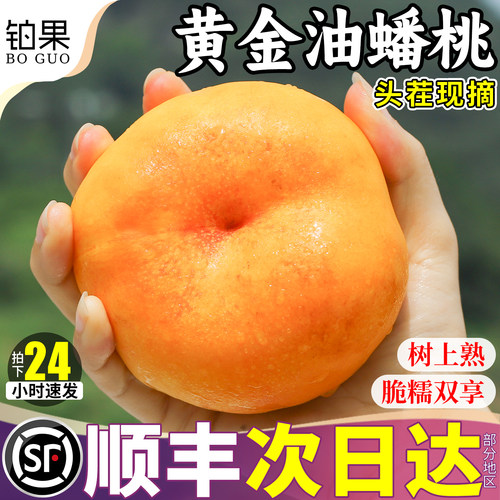 顺丰次日达丨黄金油蟠桃5斤礼盒