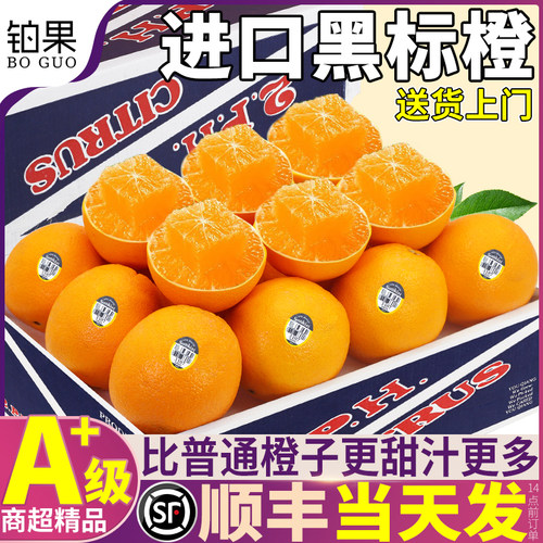 顺丰次日达|进口黑标橙珍稀！