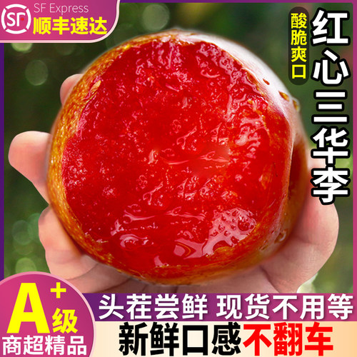 顺丰次日达丨头茬抢鲜红心芙蓉李