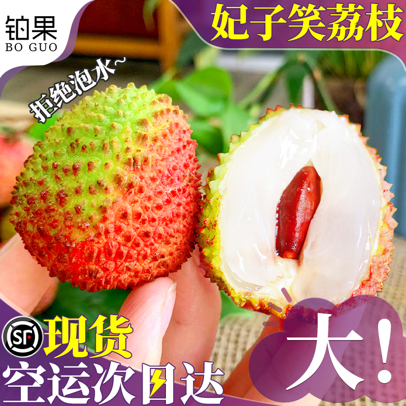 1500g SFͷʹ 18-20gժַ ˳ | ̫49.2Ԫ