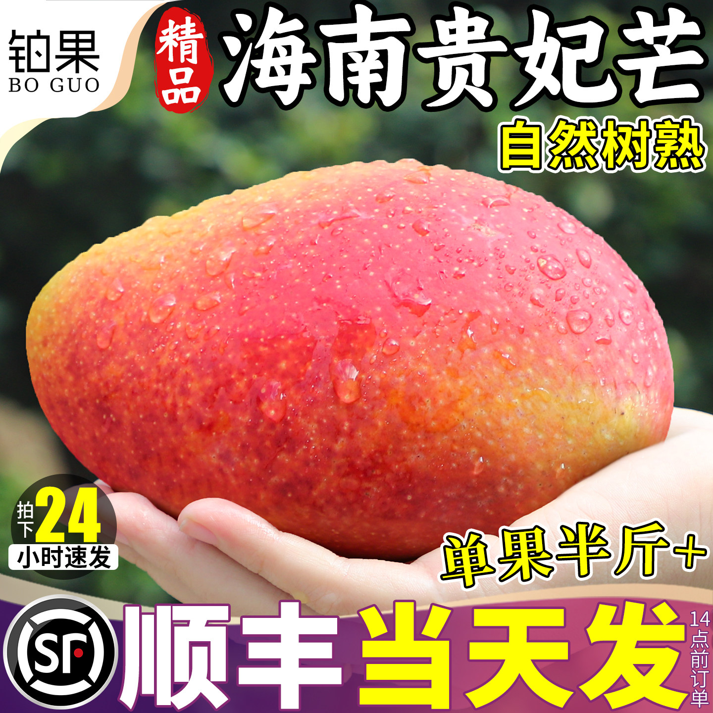 顺丰礼盒 正宗海南贵妃芒新鲜大果10斤整箱芒果红金玉现摘包邮甜