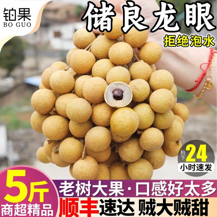 顺丰丨5斤储良龙眼丨超甜爆汁