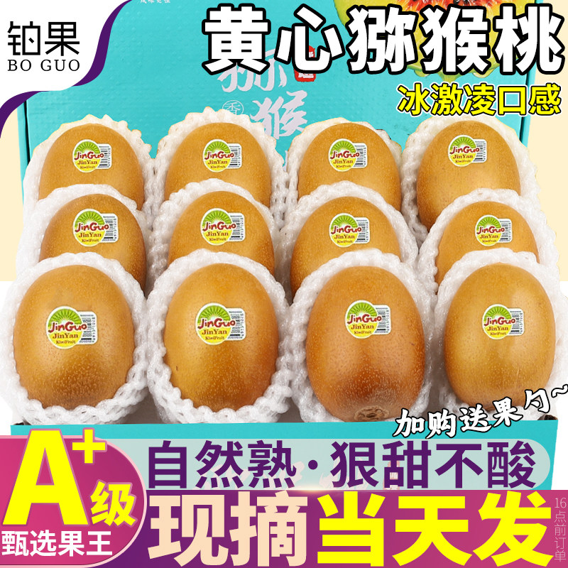 现货正宗四川黄心猕猴桃15枚奇异果黄金新鲜水果当季现摘整箱包邮