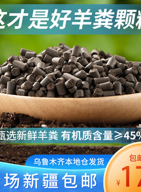 新疆包邮，乌鲁木齐本地仓发货哦