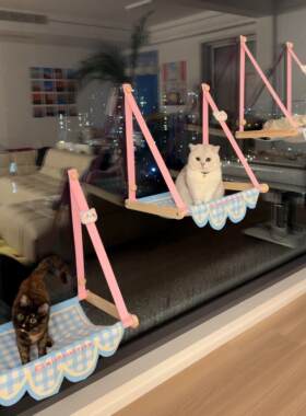 窗边猫吊床猫咪猫窝窗户窗台窗边晒太阳吸盘挂床玻璃阳台宠物躺椅