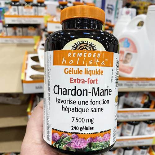 现货Holista高浓度水飞蓟奶蓟胶囊 进口水飞蓟250mg240粒