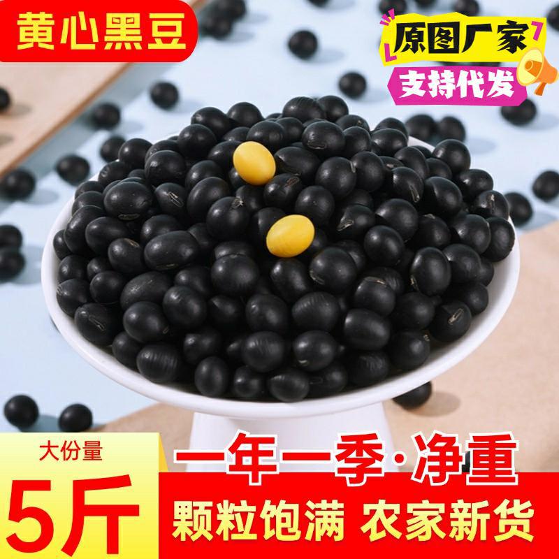 山姆冠名新黄芯黑豆圆粒【支持一件打发】 打豆浆专用黑豆醋泡五