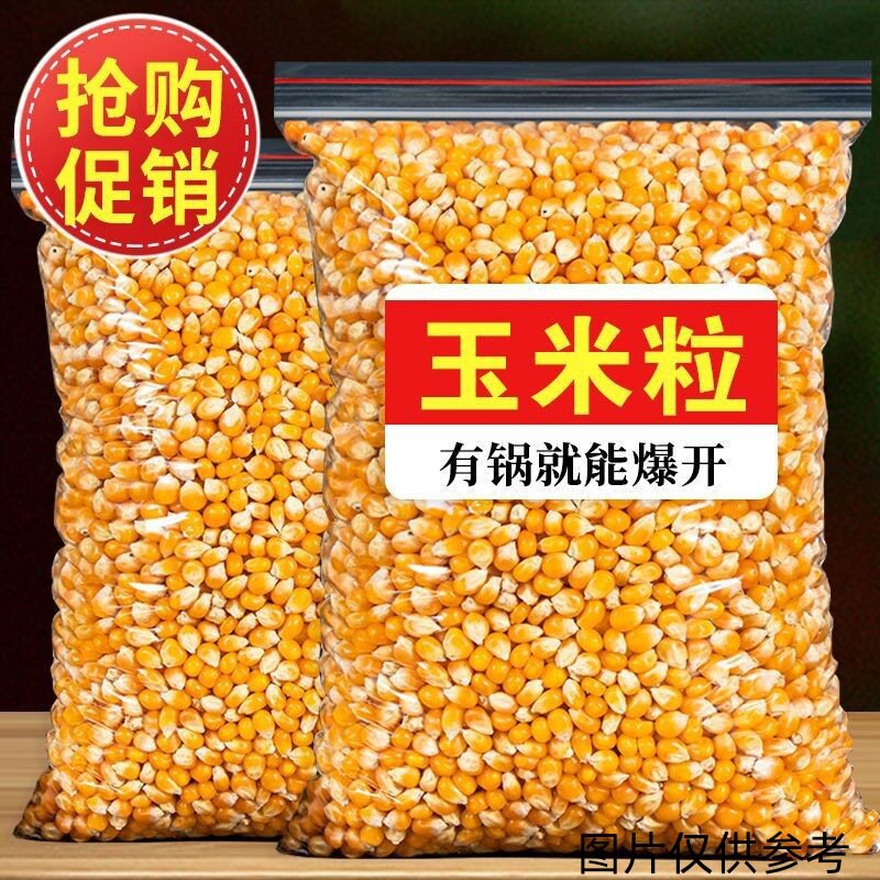 山姆冠名爆米花玉米粒球形玉米粒商用影院自制爆米花苞米花干爆