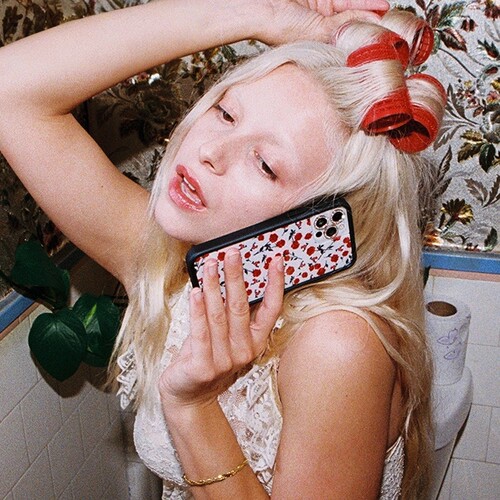 wf手机壳红色玫瑰花Red Rose适用iPhone15/14/13/12/Pro/Max/Plus苹果16Pro手机壳防摔欧美时尚赵露思硬壳17