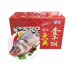 查干湖冬捕胖头鱼头8-10斤/箱整个鱼头净膛去鳞去鳃冷冻年货礼盒